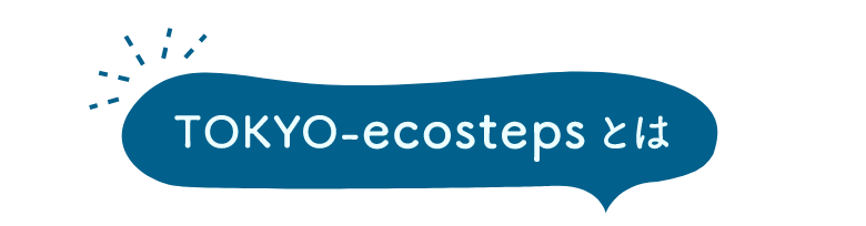 TOKYO-ecostepsとは