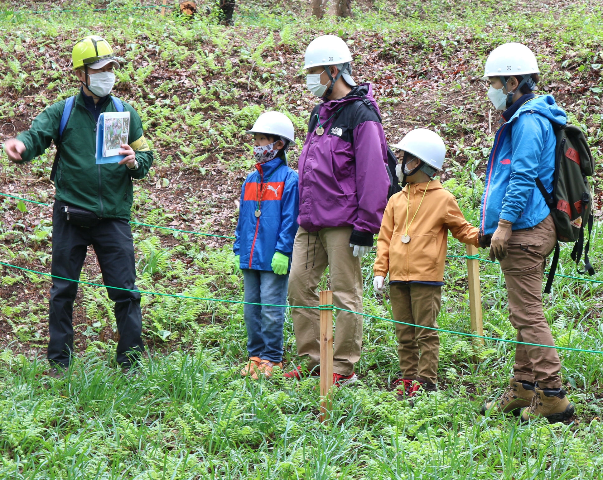 八王子の里山で自然体験！希少な植物の育つ森を守ろう！（4/20開催）