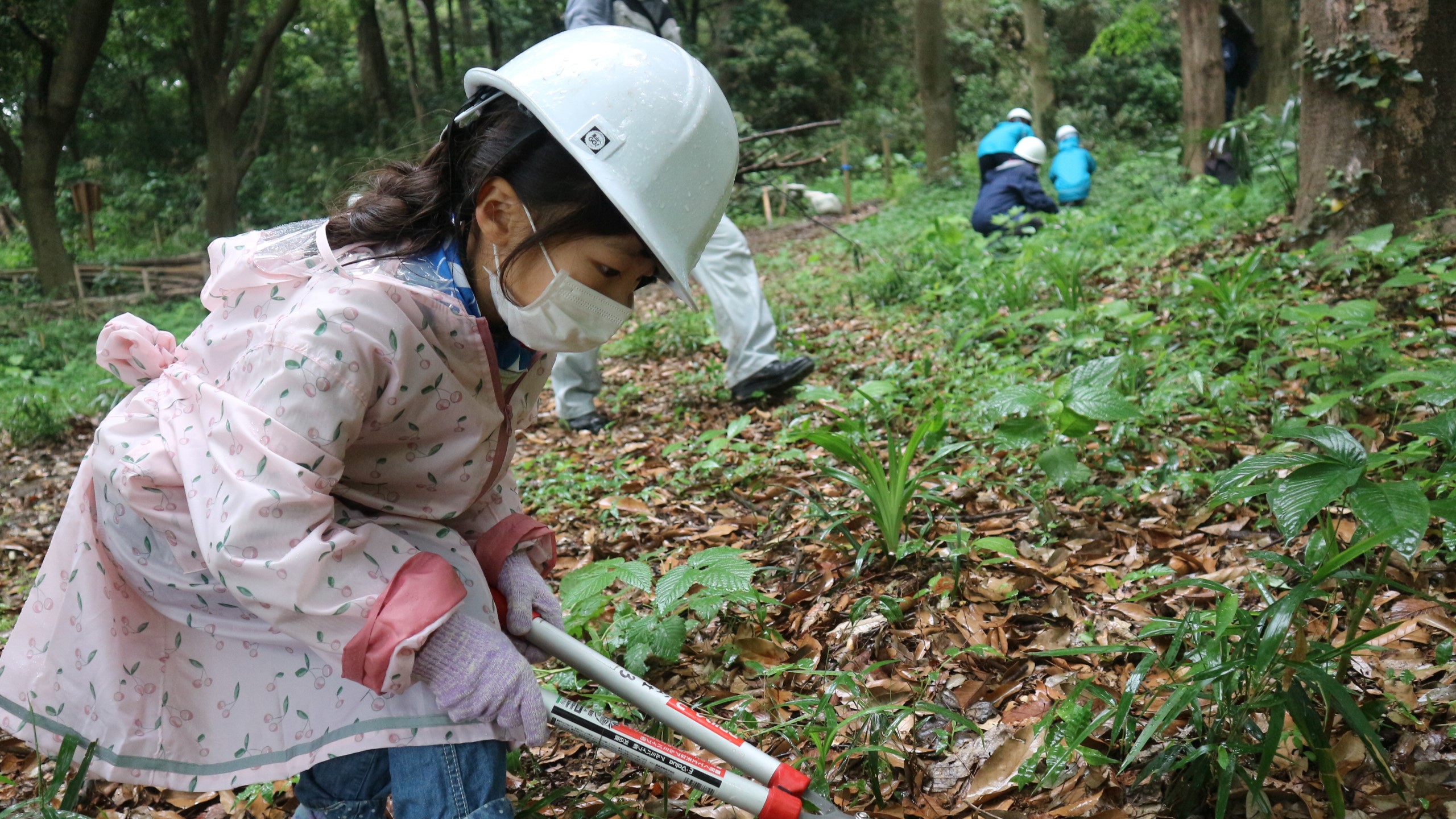 初夏の森 町田の里山で自然体験！（5/18開催）