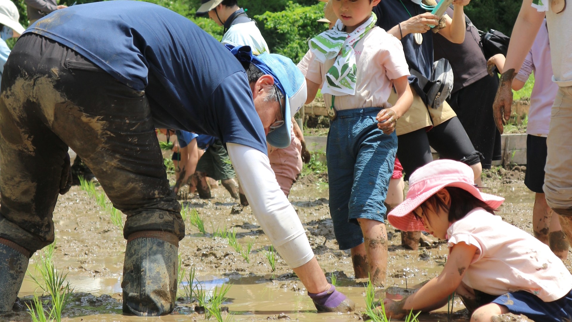 東京の里山で稲作体験！田植えの季節到来！（5/19開催）