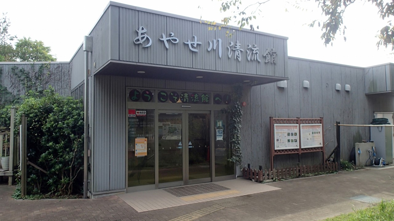 画像>