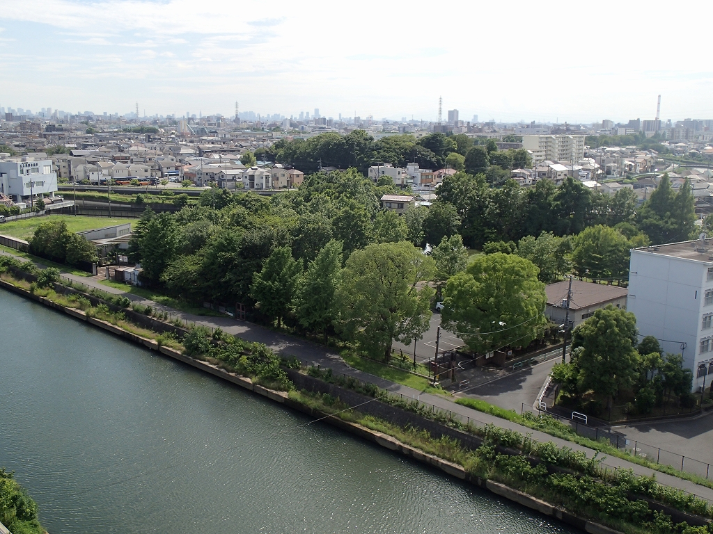 足立区桑袋ビオトープ公園