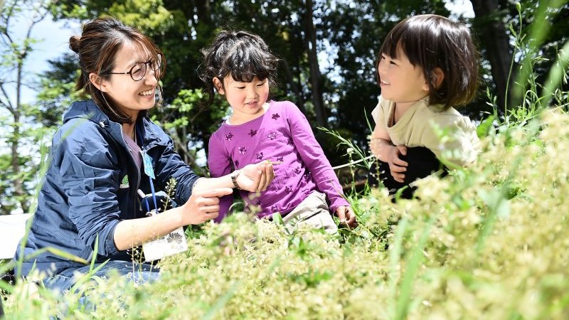 【環境学習施設】練馬区立中里郷土の森緑地を掲載しました