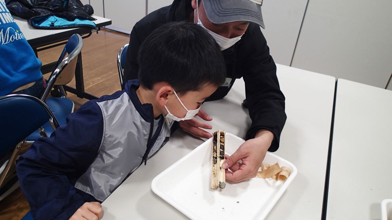 ドロバチハウスを作ろう（2/23開催）