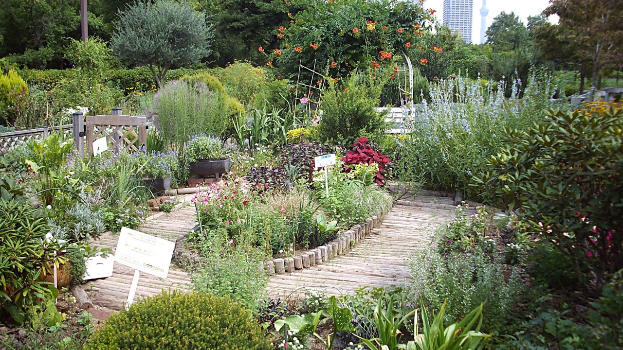 都市緑化植物園（木場公園内）
