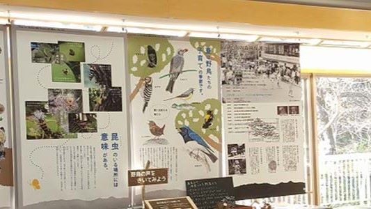 画像>