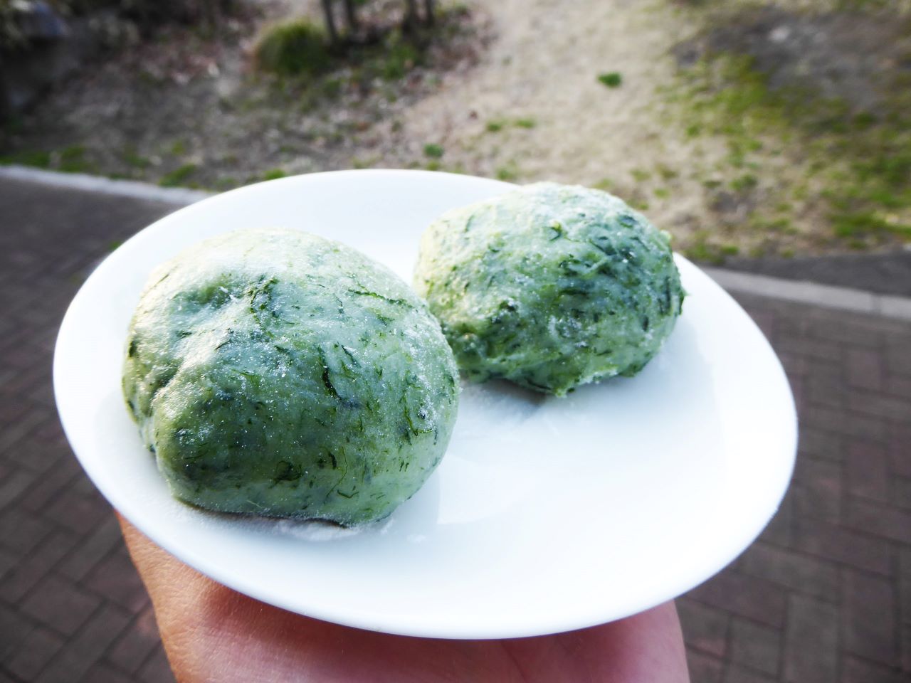 作って食べよう！よもぎ餅（3/23開催）