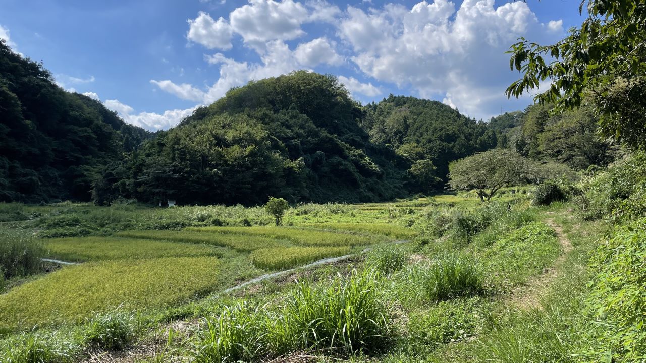 里山へGO！通年プログラム（4/19, 5/31, 7/12, 9/27, 10/25開催）