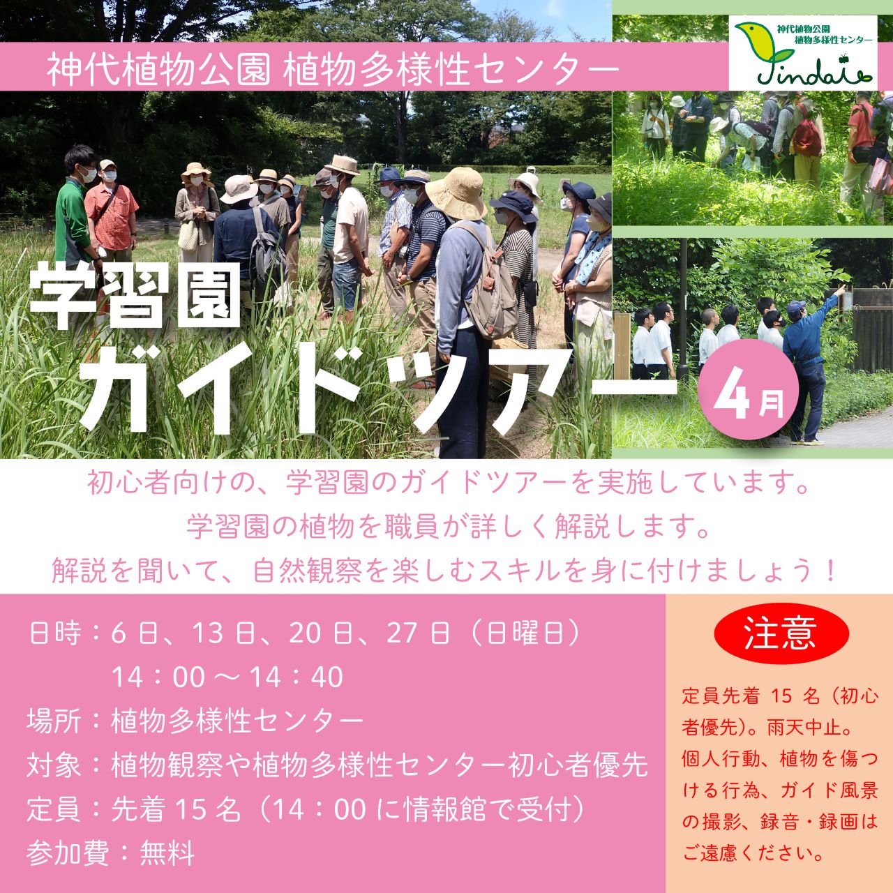 学習園ガイドツアー [4月]（4/6, 13, 20, 27開催）
