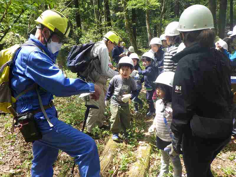 八王子の丘陵地で自然体験！～希少な植物が育つ森を守ろう～（4/19開催）