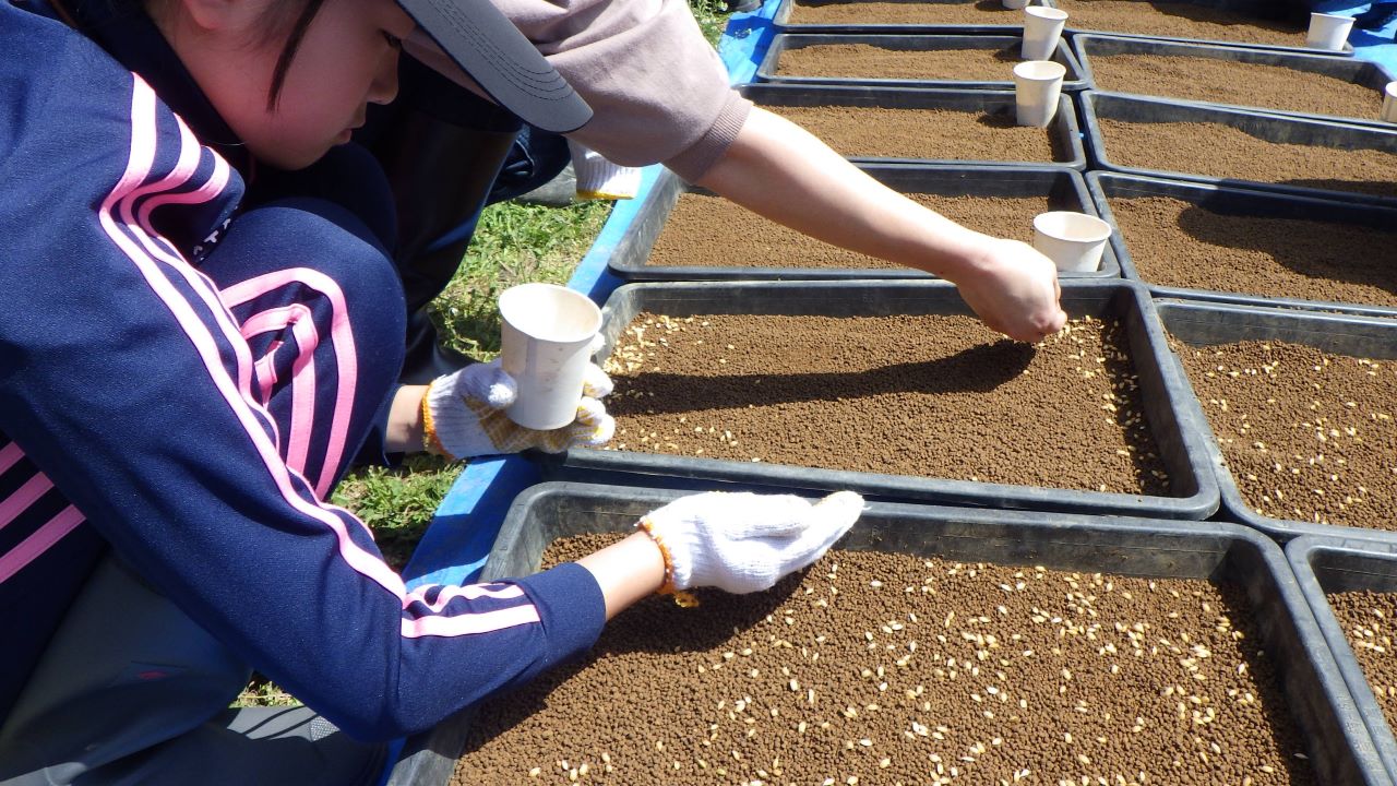 東京の里山で米作り体験！ ～田んぼの準備をはじめよう！種まき編～（4/19開催）