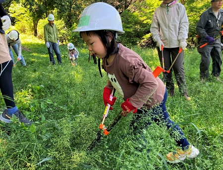 初夏の森 町田の里山で自然体験！（5/10開催）