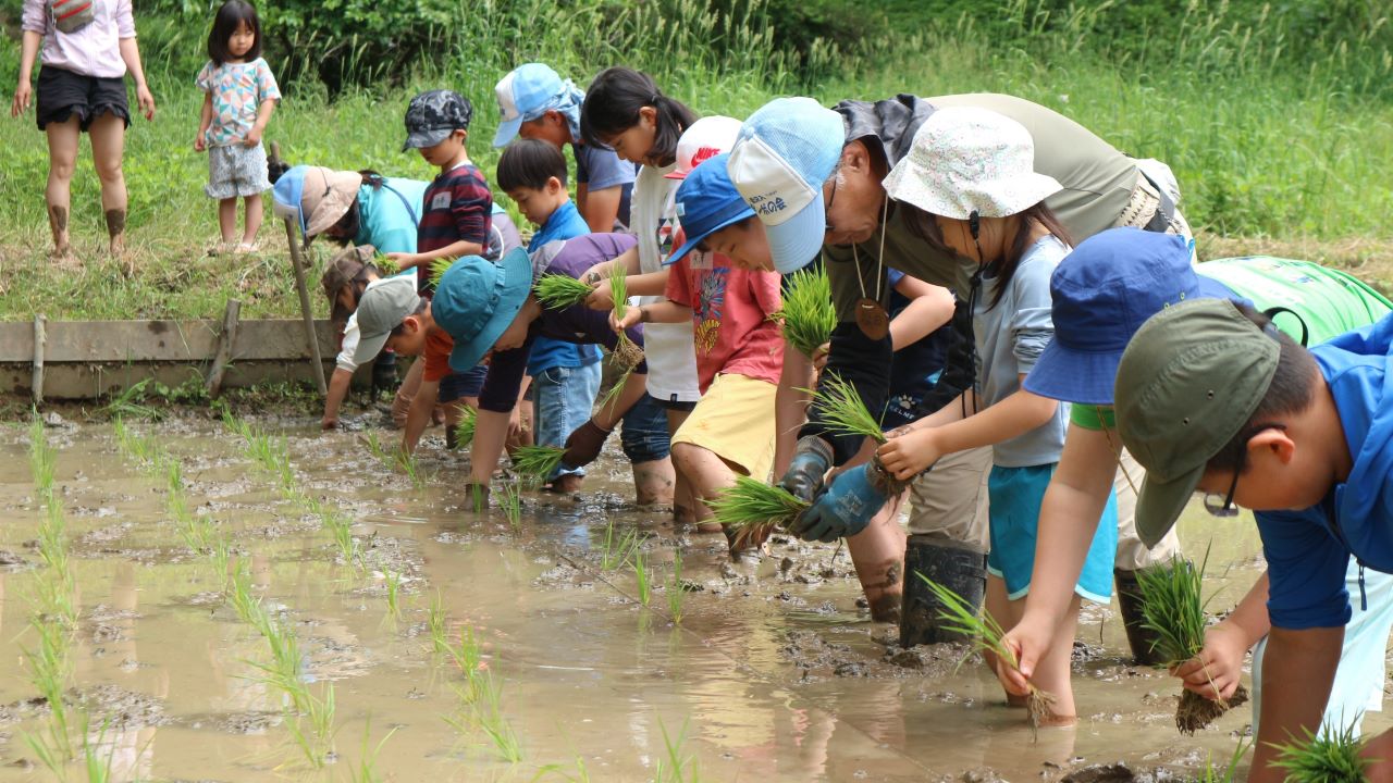 小学生集まれ♪東京の里山で米作り体験！～田植えをしてみよう（小学校低学年（1～3年）親子限定）～（5/24開催）