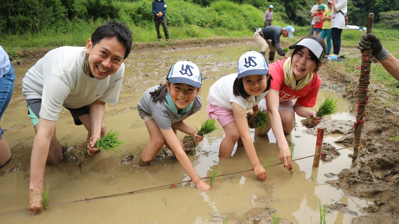 東京の里山で米作り体験！～田植えの季節到来～（5/17開催）