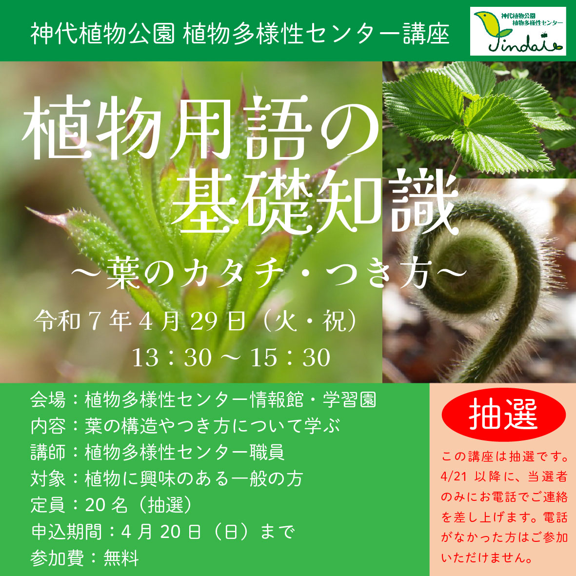 講座「植物用語の基礎知識 葉のカタチ・つき方」（4/29開催）