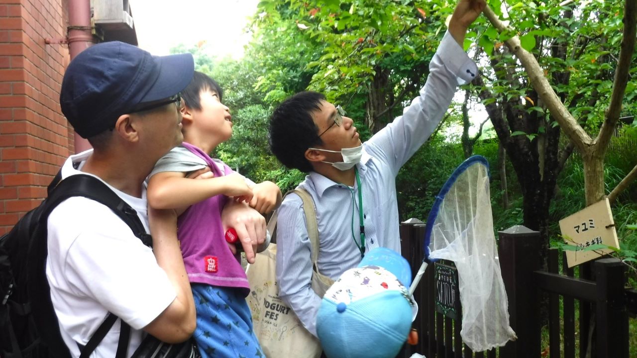 画像>