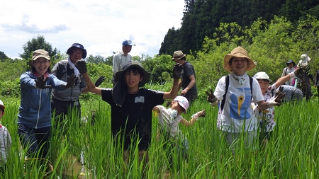 東京の里山で米作り体験！～草取り編～（7/12開催）