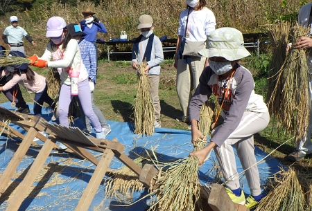 東京の里山で米作り体験！～脱穀編～（10/25開催）