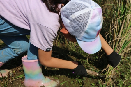 【イベント情報】東京の里山で米作り体験！～秋の実りを収穫しよう～を追加しました。