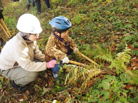 初参加限定！みんなで明るい森に育てよう！（11/29開催）