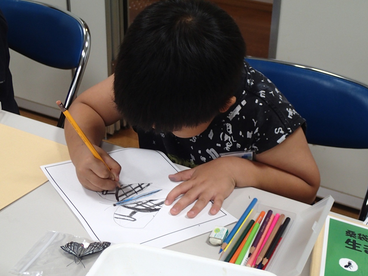 つかまえて観察！生きもの図鑑作り～冬編～（1/11開催）