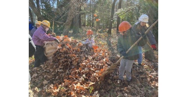 市街地に残るアカマツと名木の森を守ろう！（1/17開催）