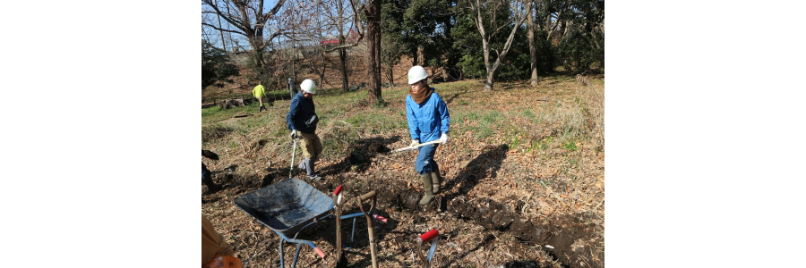 立川の貴重な湿地を復元しよう！第9回湿地回復大作戦！（2/7開催）