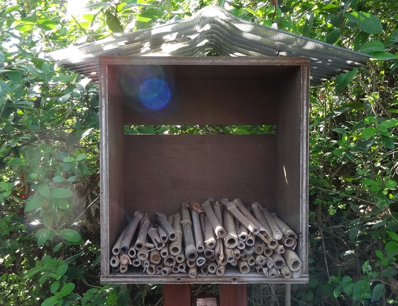 ドロバチハウスを作ろう（2/11開催）