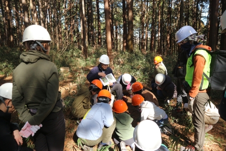 勝沼城跡で竹の伐採体験！歴史と自然に触れてみよう！（2/15開催）