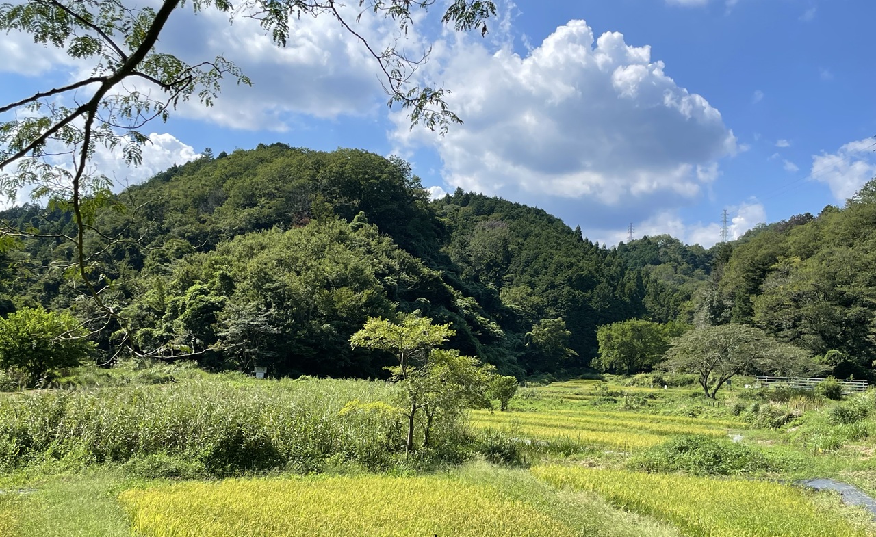 【イベント情報】「【全5回】里山へGO！通年プログラム」を掲載しました。