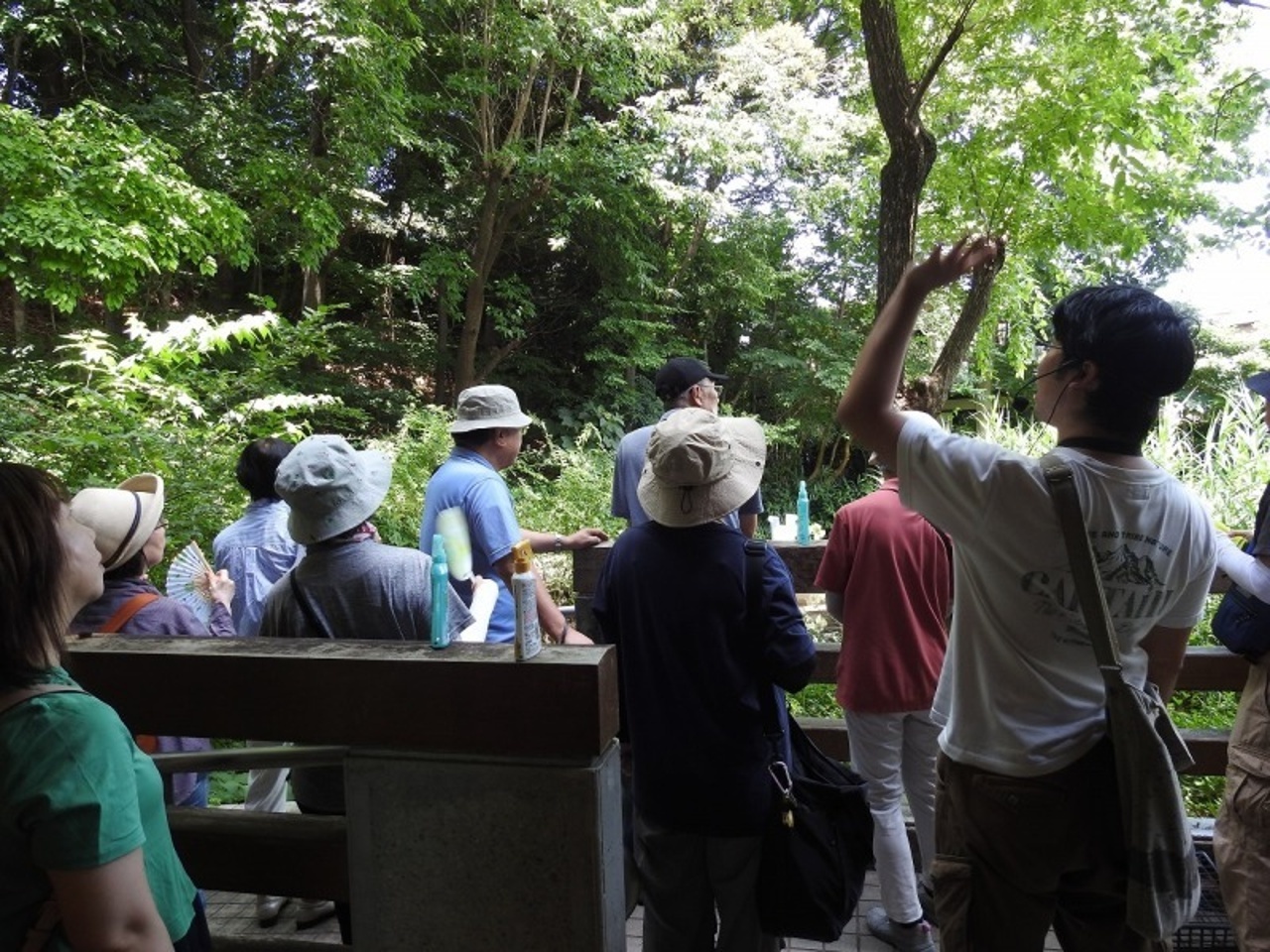 【全３回】北区のまち・自然、再発見！～水辺と崖線と生きもの～(5/23,6/13,27開催）