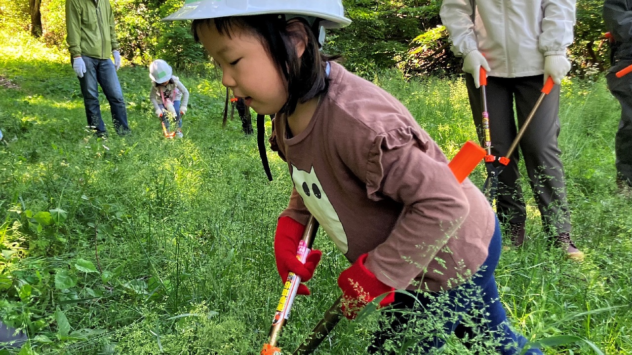 初夏の森 町田の里山で自然体験！（5/23開催）
