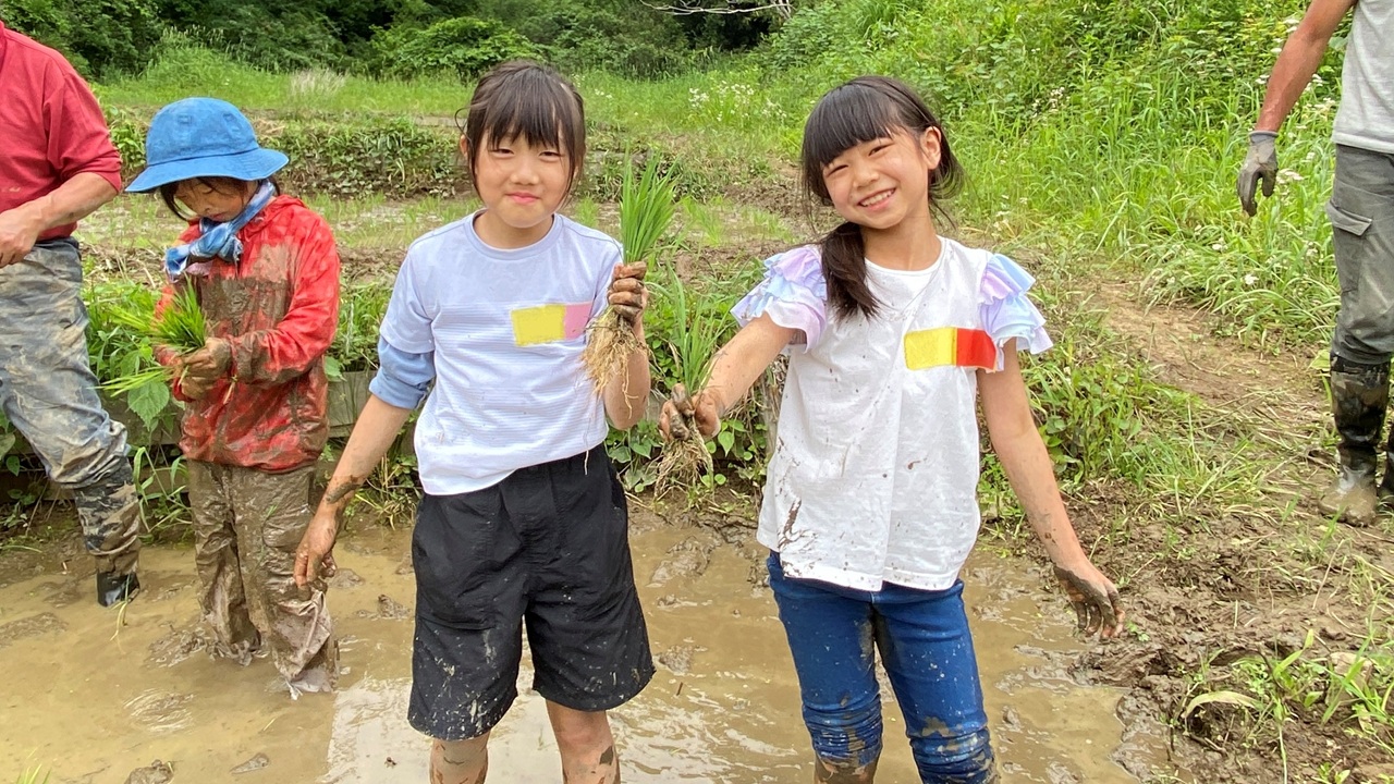 小学生集まれ♪東京の里山で米作り体験！～田植えをしてみよう（小学生親子限定）～（5/23開催）