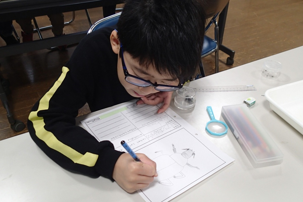 【イベント情報】「つかまえて観察！生きもの図鑑作り～春編～」を追加しました。