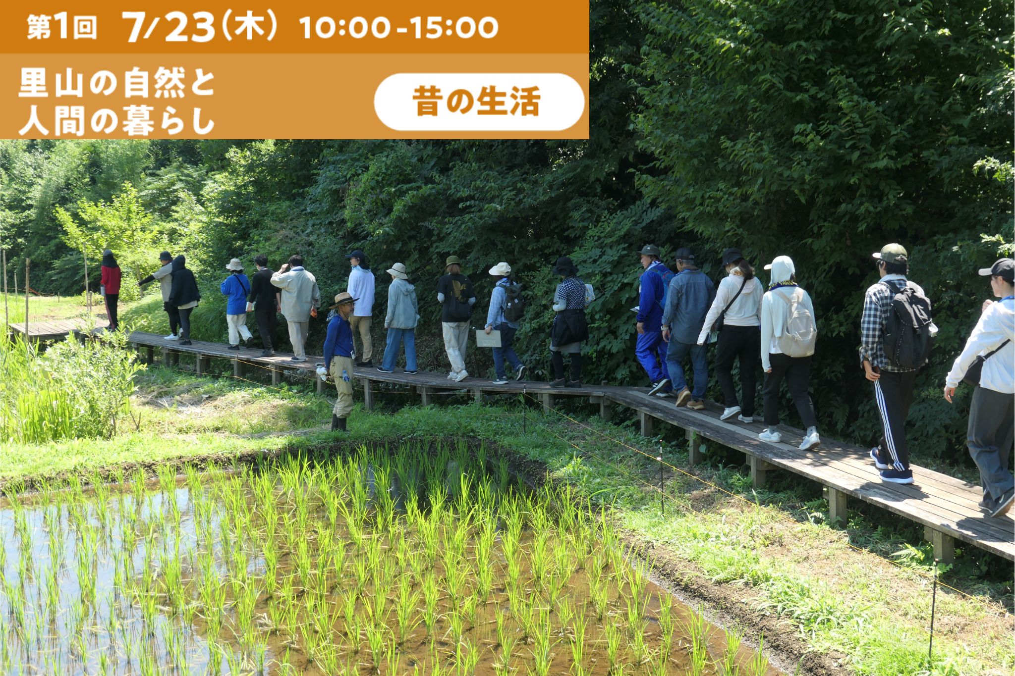 【小学校教員向け】環境教育研修会　第１回「里山の自然と人間の暮らし」(7/23開催）