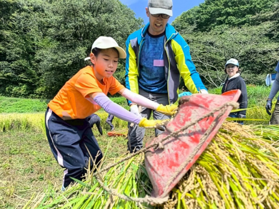 【イベント情報】「【里山へGO！初参加限定】東京の里山で米作り体験！ 秋の実りを収穫しよう！」を掲載しました。