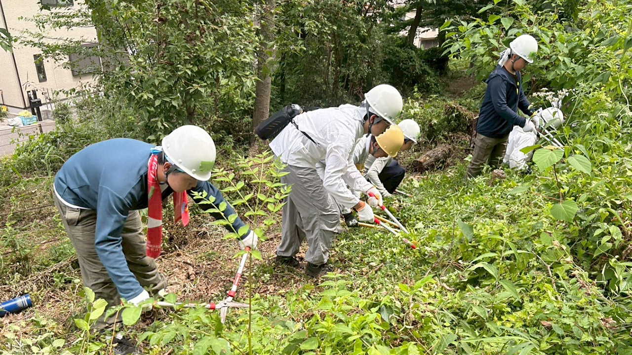 中学生・高校生・大学生限定！みんなで明るい森に育てよう！（10/31開催）【東京ポイント対象】